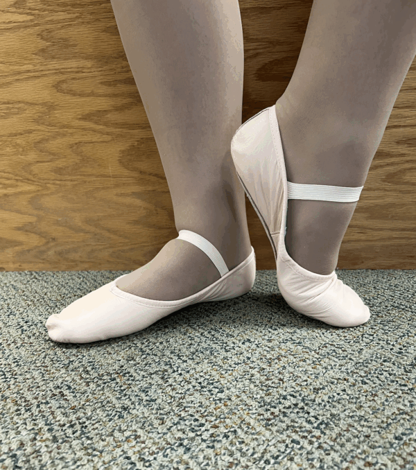 Bloch Ballet Shoe